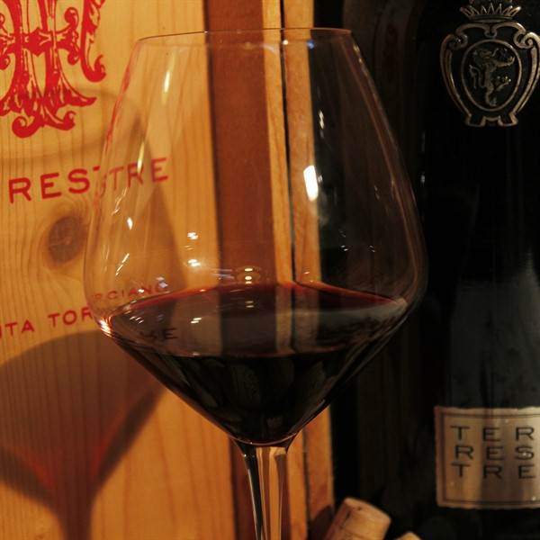 1993 Terrestre Silver medal - Toscana Rosso Blend